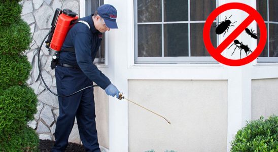 Çamlıdere Kene İlaçlama böcek ilaçlama ve haşere kontrolü — ilaclama-tr.com